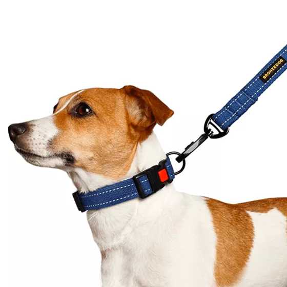 Поводки и ринговки для собак