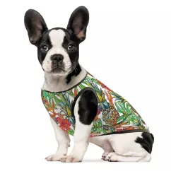 Борцовка для собак Pet Fashion «Рио» S (4823082410576)