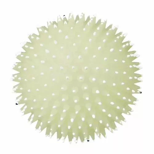Игрушка для собак Trixie Мяч фосфоресцентный, игольчатый с пискавкой d=10 см (винил, цвета в ассортименте) (34091) - фото №2