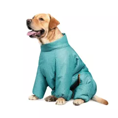 Pet Fashion Cold Комбинезон для собак бирюзовый XS (PR242529)