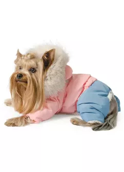 Pet Fashion Джуді Костюм для собак XS (4823082413300)