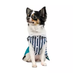 Сукня для собак Pet Fashion «Band» XS (багатокольорова) (PR242500)