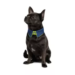 Комір для собак Pet Fashion «BRIGHT» XS-XS2 (PR242546)