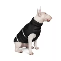 Жилет для собак Pet Fashion «Big Boss» 2-XL (черная) (PR242398)