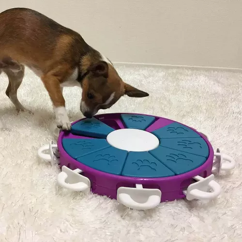 Dog Twister Nina Ottosson ⌀=26 см, h=4,5 см іграшка інтерактивна для собак - фото №2