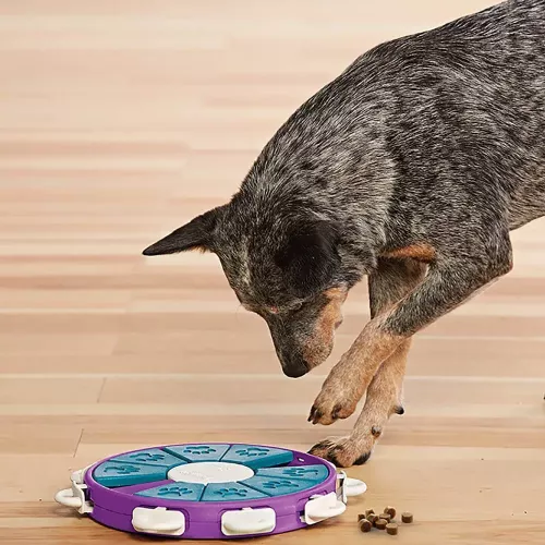 Dog Twister Nina Ottosson ⌀=26 см, h=4,5 см іграшка інтерактивна для собак - фото №3