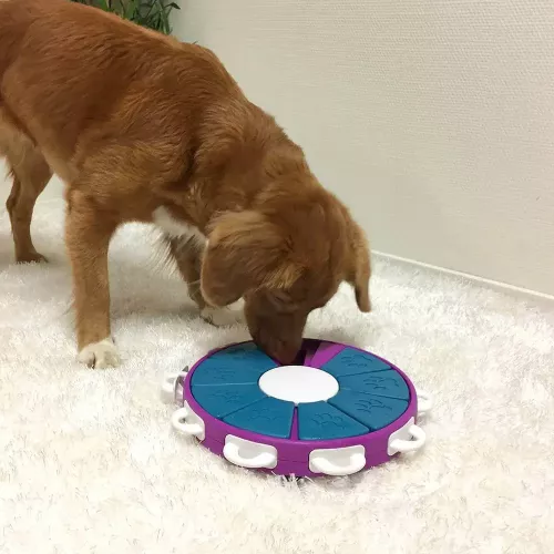 Dog Twister Nina Ottosson ⌀=26 см, h=4,5 см іграшка інтерактивна для собак - фото №4