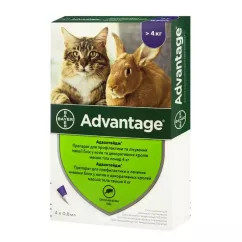 Bayer Advantage для котов и кроликов Капли на холку от внешних паразитов 4-8 кг 4 пипетки