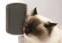 Массажная щетка для кошек Catit "Self Groomer 2.0" (пластик) (43152)