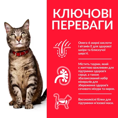 Сухий корм для дорослих котів Hills Science Plan Adult 300 г (рис та ягня) (604065) - фото №3