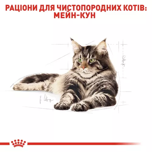 Сухий корм для дорослих котів породи мейн-кун Royal Canin Maine Coon Adult | 4 кг + Catsan 10 л (домашня птиця) (11288) - фото №4