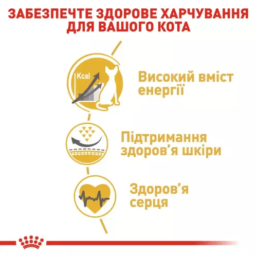 Royal Canin sphynx 8 кг + 2 кг (домашняя птица) сухой корм для котов породы сфинкс - фото №2