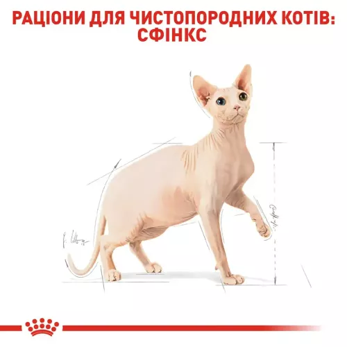 Royal Canin sphynx 8 кг + 2 кг (домашняя птица) сухой корм для котов породы сфинкс - фото №3