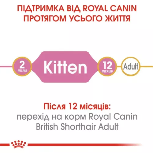 Сухий корм для кошенят породи британська короткошерста Royal Canin British Shorthair kitten 2 кг + контейнер у подарунок (домашня птиця) (11555) - фото №4