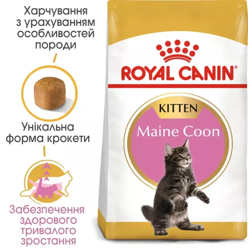 Сухий корм для кошенят породи мейн-кун Royal Canin Kitten Maine Coon 2 кг + контейнер у подарунок (домашня птиця) (11553) - фото №2