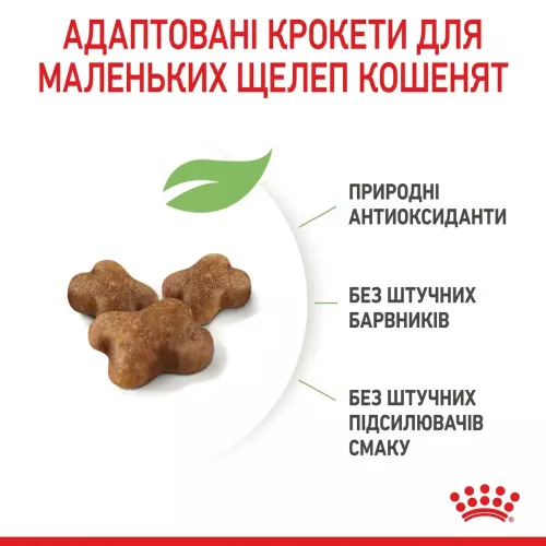 Royal Canin kitten 8 кг + 2 кг (домашняя птица) сухой корм для котят - фото №4