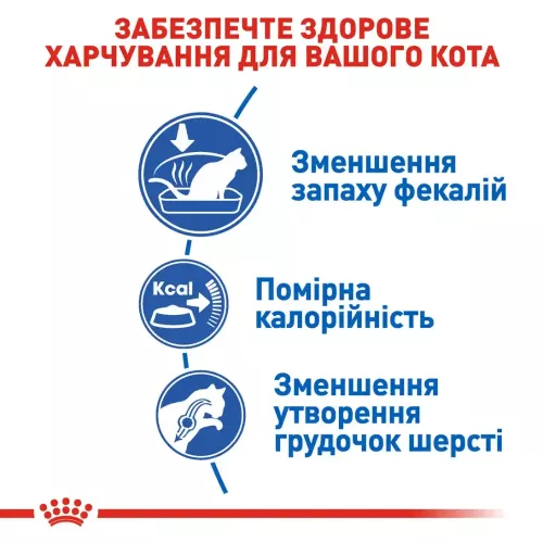 Royal Canin indoor 8 кг + 2 кг (домашняя птица) сухой корм для котов живущих в помещении - фото №3