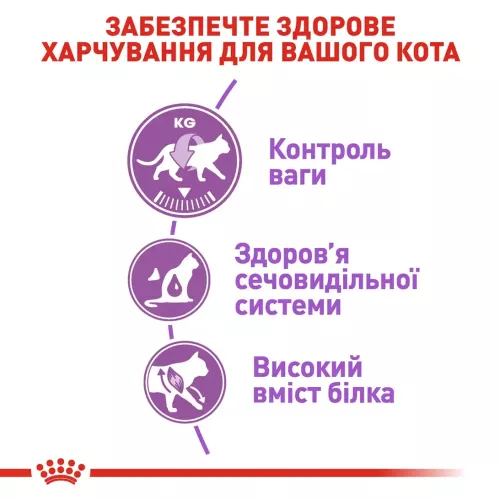 Сухой корм для стерилизованных кошек Royal Canin Sterilised 37 | 4 кг + Catsan 10 л (домашняя птица) (11299) - фото №4