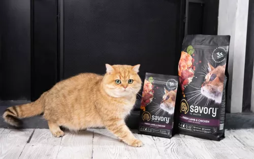 Сухий корм Savory для стерилізованих котів 2 кг зі смаком ягня та курки (30112) Savory Adult Cat Steril Fresh Lamb and Chicken - фото №4
