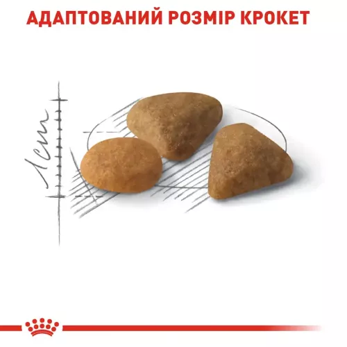 Royal Canin exigent savour 8 кг + 2 кг (домашняя птица) сухой корм для котов с чувствительным пищева - фото №4