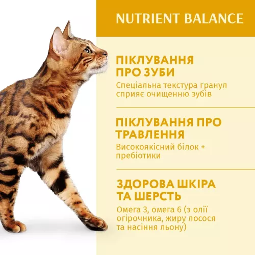 Сухий корм Optimeal Adult Cat Chicken для дорослих котів 700 г (курка) (B1811202) - фото №3