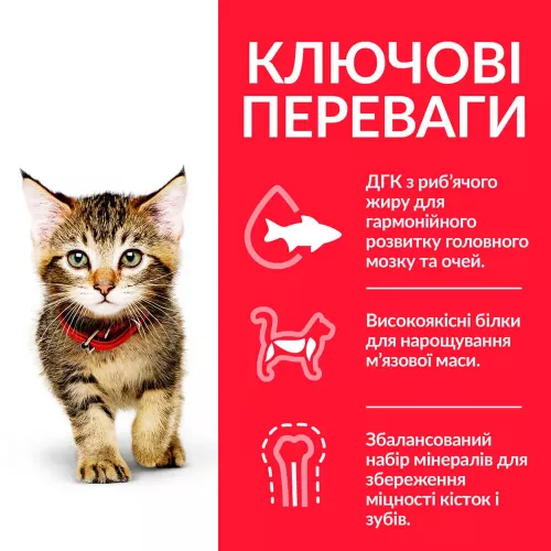 Сухий корм для кошенят Hills Science Plan Kitten 300 г (курка) (604046) - фото №3