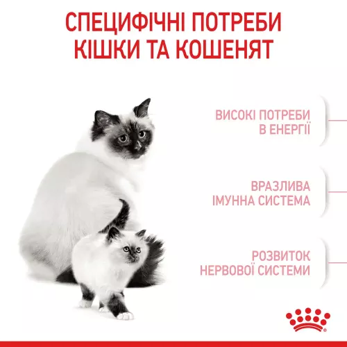 Сухий корм для кошенят Royal Canin Mother & Babycat 10 кг (домашня птиця) (2571100) - фото №3