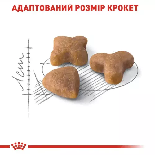 Royal Canin sensible 8 кг + 2 кг (домашній птах) сухий корм для котів з чутливим травленням - фото №4