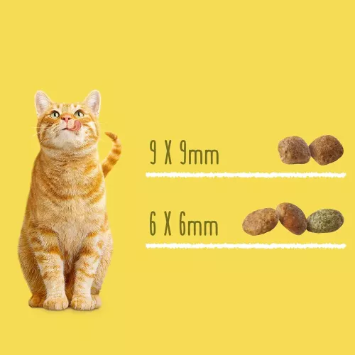 Сухой корм для стерилизованных кошек Friskies 10 кг (лосось и овощи) (7613033205064) - фото №4