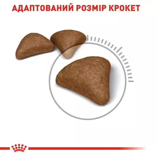 Сухий корм для виведення вовни у котів Royal Canin Hairball Care 2 кг + 400 г у ПОДАРУНОК (домашня птиця) (10935) - фото №4