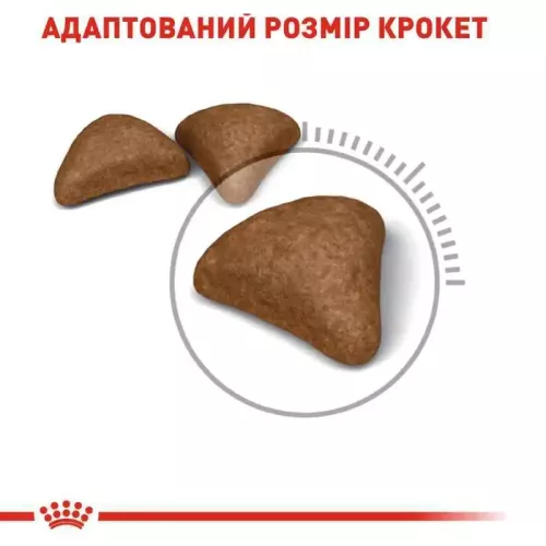 Royal Canin hairball care 8 кг + 2 кг (домашній птах) сухий корм для виведення вовни у котів - фото №3