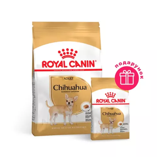 Сухий корм для дорослих собак породи чихуахуа Royal Canin Chihuahua Adult 1,5 кг + 500 г У ПОДАРУНОК (домашня птиця) (10955)