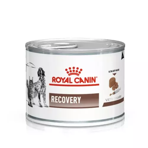 Вологий корм для котів та собак Royal Canin Recovery в реабілітаційний період 195г (домашня птиця) (40550021)