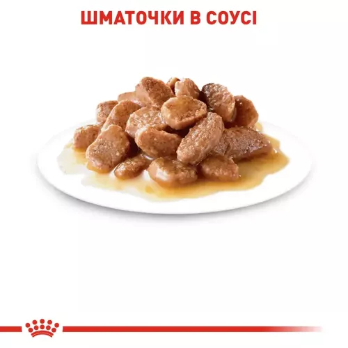 Вологий корм для котів, для підтримки сечовивідної системи pouch Royal Canin Urinary Care Gravy 85г, 9+3 шт у подарунок (домашня птиця) (11477) - фото №4