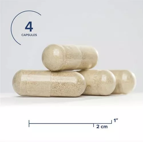 Питательные вещества для желчного пузыря Seeking Health Bile Production & Flow Seeking Health 120 вегетарианских капсул (810007521510) - фото №4