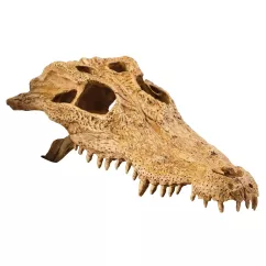 Декорація для тераріума Exo Terra Череп крокодила (пластик) (PT2856)