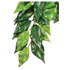 Декорация для террариума Exo Terra растение Ficus M (шелк) (PT3040)