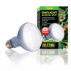 Лампа розжарювання з неодимовою колбою Exo Terra «Daylight Basking Spot» 75 W, E27 (для обігріву) (PT2132)