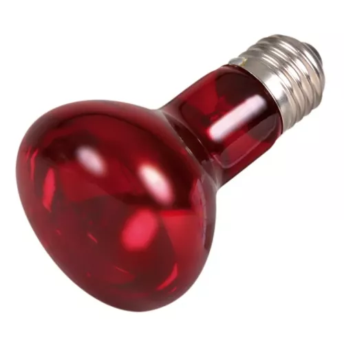 Инфракрасная лампа накаливания Trixie 100 W, E27 (для обогрева) (76097) - фото №2