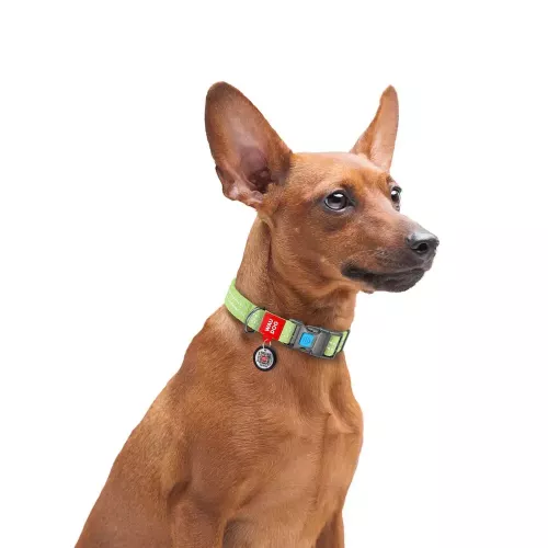 Collar WAUDOG Re-cotton Нашийник для собак з QR-паспортом 24-40 см/20 мм салатовий (C02885) - фото №3