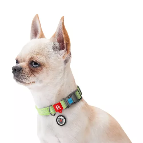 Collar WAUDOG Re-cotton Нашийник для собак з QR-паспортом 35-58 см/25 мм салатовий (C02945) - фото №4