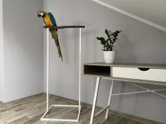 Стенд для попугая напольный Haustier Loft White 50х50х125см (P2-1-001)