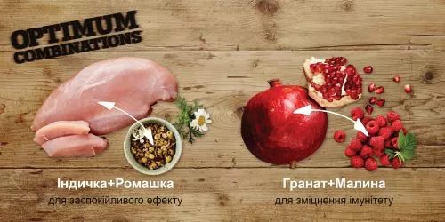 Nutram T27 2 kg беззерновой MINI со вкусом курицы и индейки сухой корм для собак - фото №3