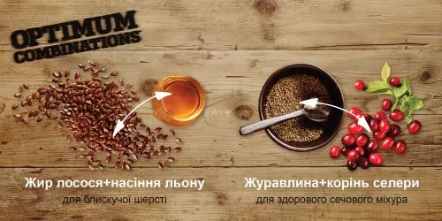 Nutram I17 Ideal Solution Support Indoor Cat со вкусом курицы 1.13 кг сухой корм для котов - фото №4