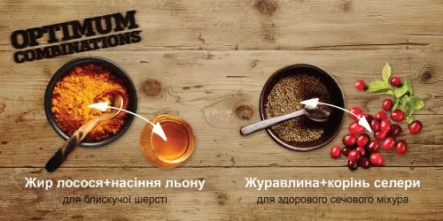 Сухий корм для дорослих котів Nutram T22 Turkey & Chiken Cat зі смаком курки та індички 5.4 кг (067714102826) - фото №3