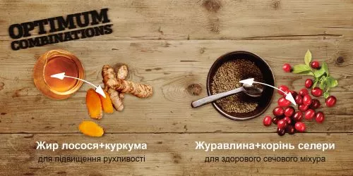 Nutram T24 Salmon & Trout Cat со вкусом лосося и форели 1.13 кг сухой корм для котов - фото №3