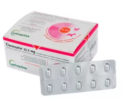 Клавасептин Таблетки, 62,5 мг