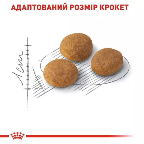 Сухий корм для вибагливих котів Royal Canin Exigent Aromatic 2 кг (домашній птах) (2543020) - фото №4