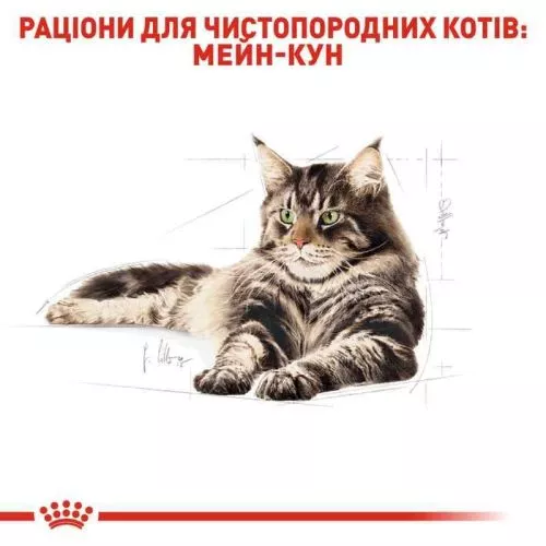 Сухой корм для кошек Royal Canin Maine Coon Adult 2 кг (домашняя птица) (2550020) - фото №4