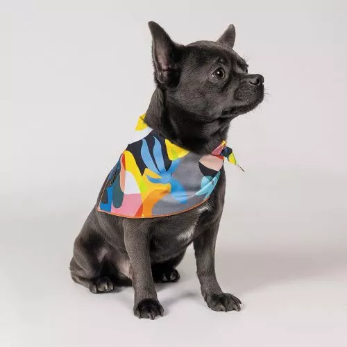 Бандана Pet Fashion «Weekend» для собак, размер M-XL, принт - фото №2